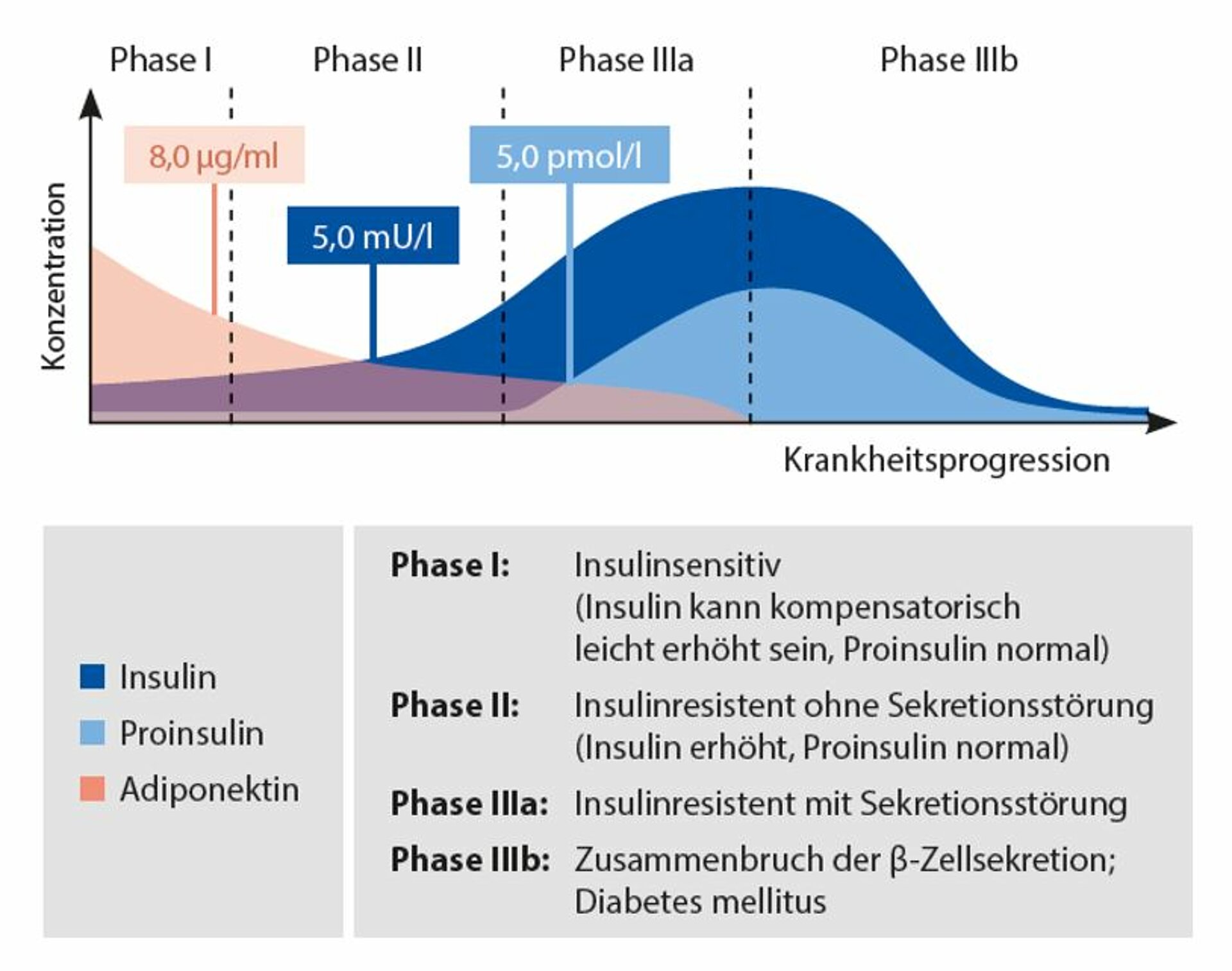 Diabetes mellitus   Labordiagnostische Untersuchungsmöglichkeiten