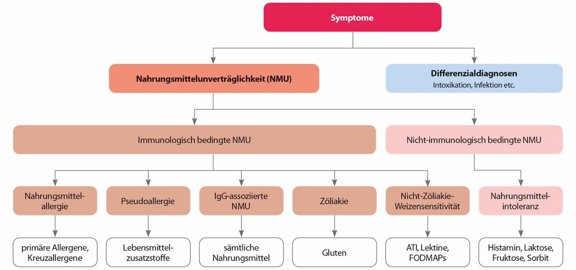 Abbildung: Vom Symptom zum ausloesenden Nahrungsmittelbestandteil