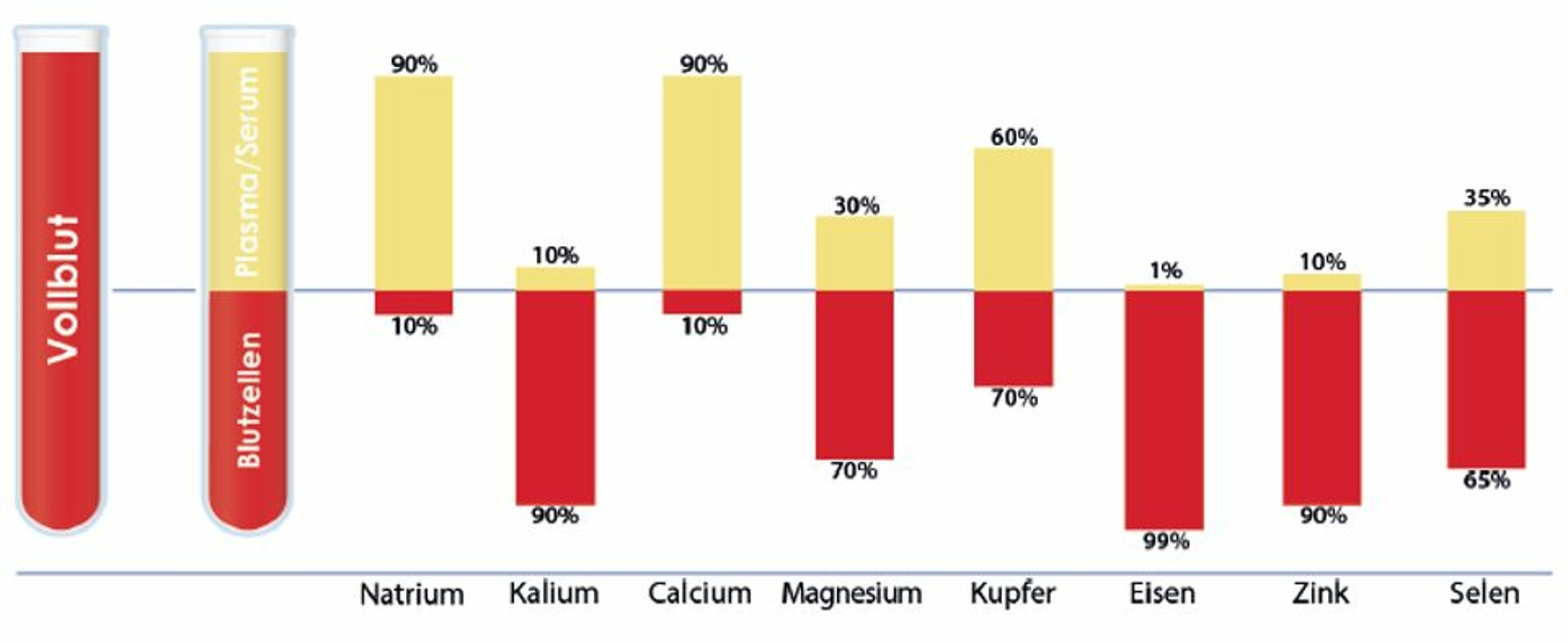 Mikronährstoffe - Schaubild Verteilung der Elemente zwischen Blutzellen und Plasma